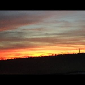 Meet your Posher, Molly